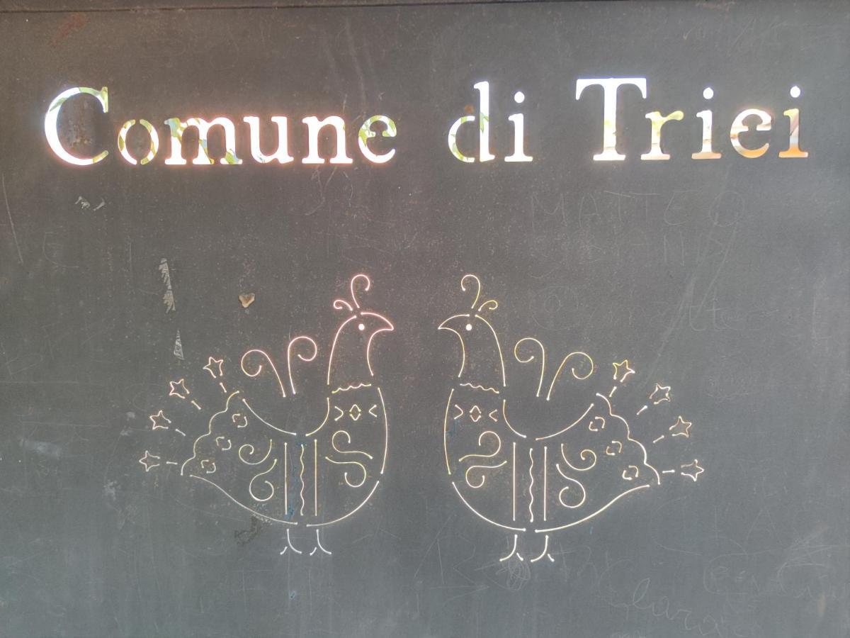 Sa Dommu 'E Su Coro Villa Triei Exterior photo